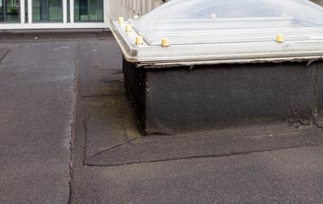 disadvantages of Northville flat roofs